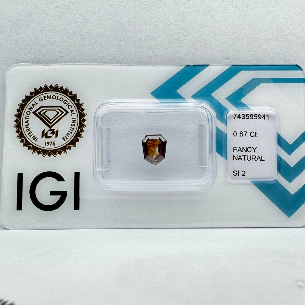 没有保留价 - 1 pcs 钻石 (天然色彩的) - 0.87 ct - 混合形状 - Fancy deep 橙色 棕色 - SI2 微内含二级 - 国际宝石研究院(IGI) #4.3