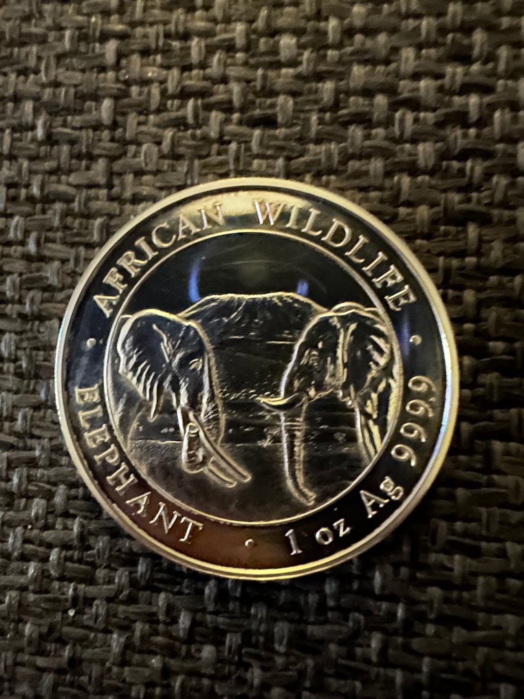 索马里. 100 Shilling 2020  (沒有保留價) #1.0