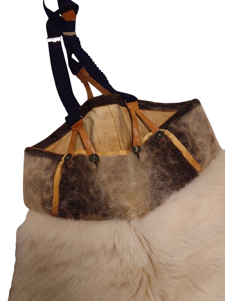 IJsbeer Taxidermie volledige montage - Ursus maritimus, seal - with import certificate - 0 cm - 0 cm - 0 cm - CITES Appendix II - Bijlage B in de EU #1.0