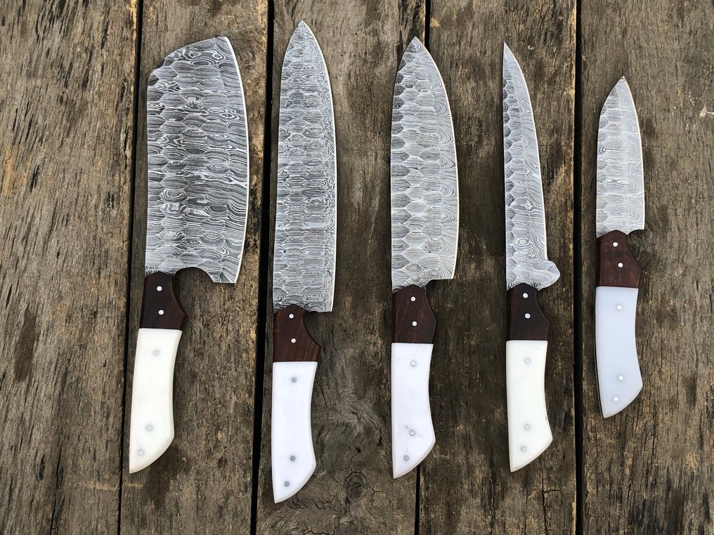 Couteau de cuisine - Ensemble de 5 couteaux de chef en acier forgé, collection d'objets de collection faits main, manche - Amérique du Nord - Leather Saya (Dr6) #1.0