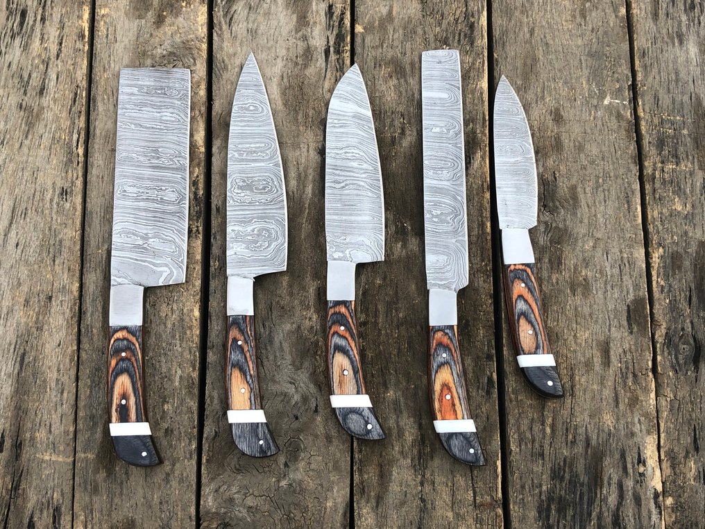 廚刀 - 手工收藏品厨师刀具套装（5件）锻造钢，稀有手柄 - 北美 - 皮革Saya（Dr9） #1.0