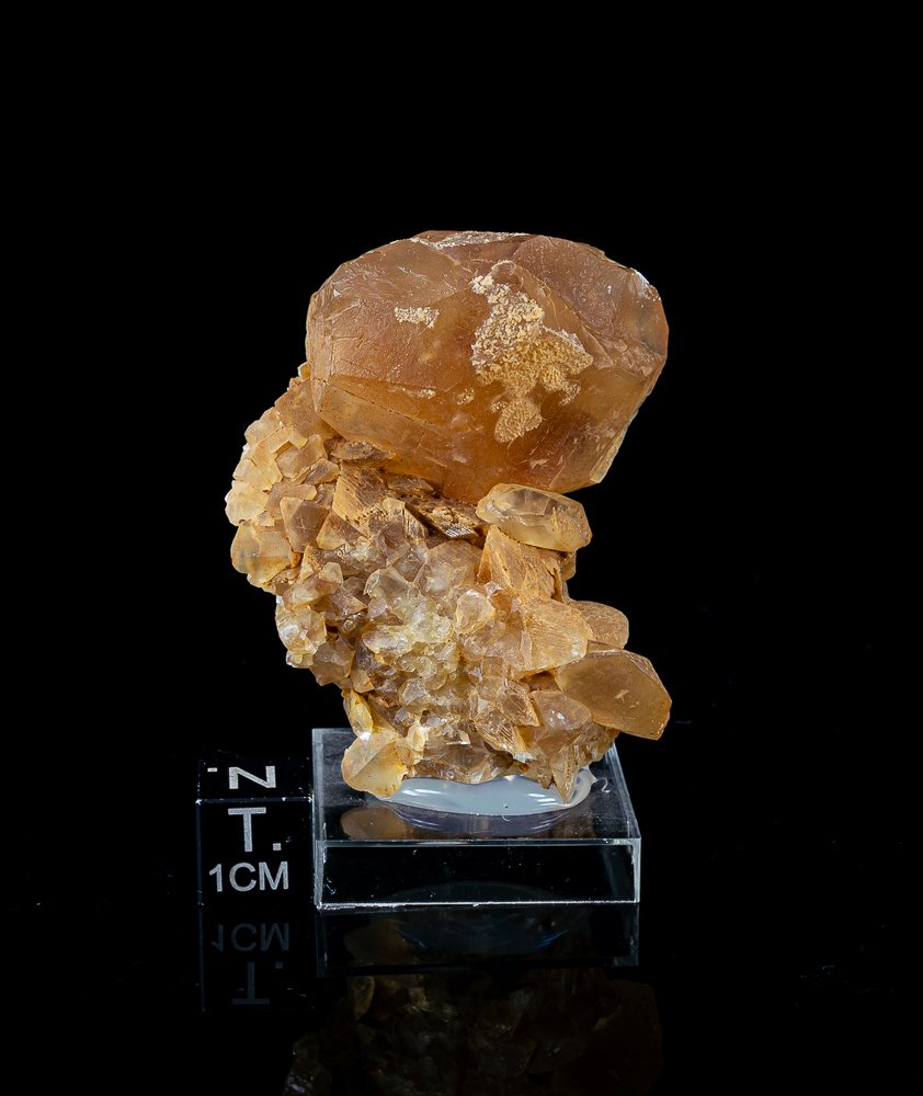 Συλλογή 8 δειγμάτων ασβεστίτη από το λατομείο La Sambre, Βέλγιο - Μέσο μέγεθος 3,7 έως 7 εκ.- 235 g - (8) #2.1