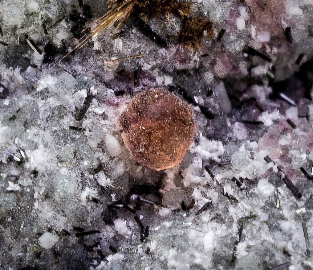 Especímenes de micromontaje de Aris Quarries Namibia - Villiaumite, Apophyllite, Steacyite,- 321 g - (9) #1.0