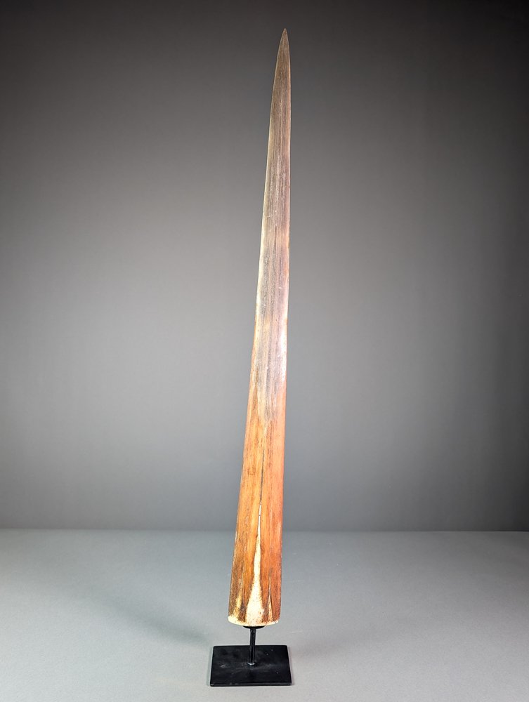 巨型剑鱼吻部 支架上的吻突 - Xiphias gladius - 86.5 cm - 7.4 cm - 2.7 cm #1.0