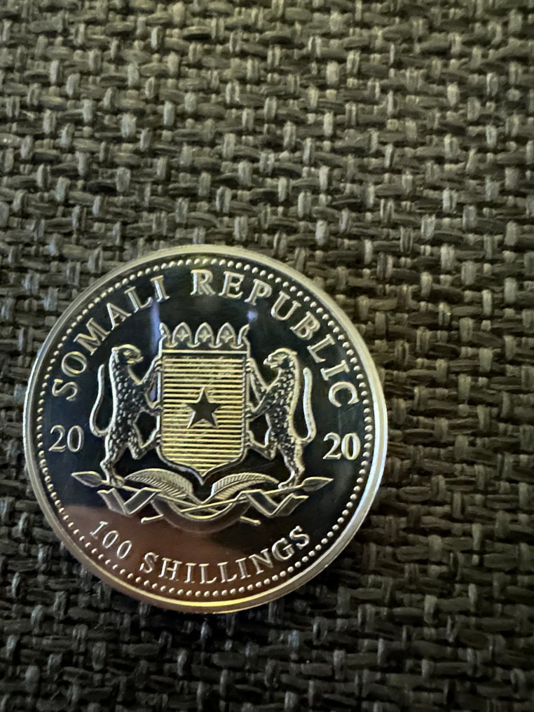 索马里. 100 Shilling 2020  (沒有保留價) #1.0