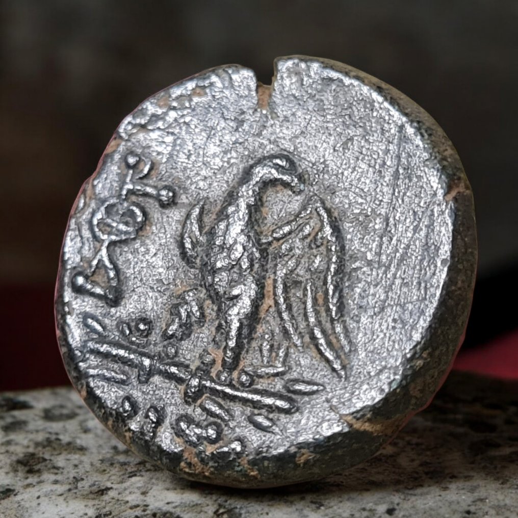 Bithynia, Dia. ca 85-65BC. Æ  (No Reserve Price) #1.0