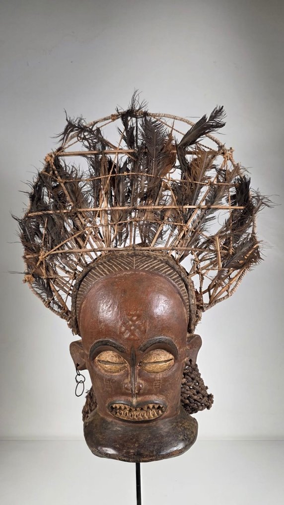 Puu- ja sulkirekvisiitti - Angola (Ei pohjahintaa) #1.0