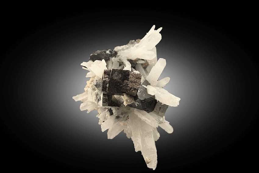 ARSENOPYRITE & QUARTZ Crystals on matrix - Height: 3.8 cm - Width: 3 cm- 150 g - (1) #3.2
