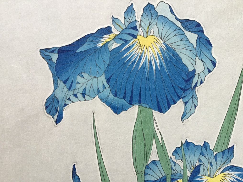 Japanese Iris 花菖蒲orハナショウブ Hanashobu - Kawarazaki Shodo 河原崎奨堂 (1889-1973) - Published by Unsodo - Ιαπωνία #3.2