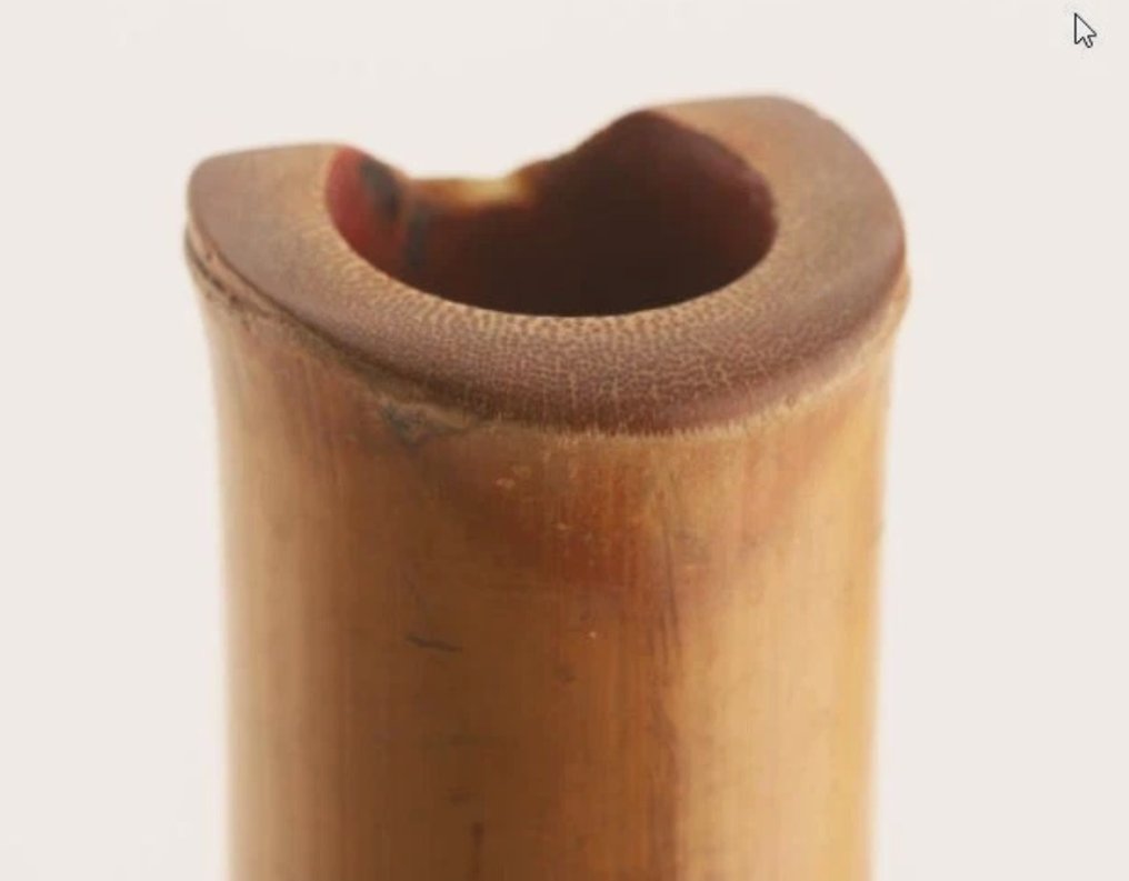 Seiho -  - 尺八 - 日本  (沒有保留價) #4.3