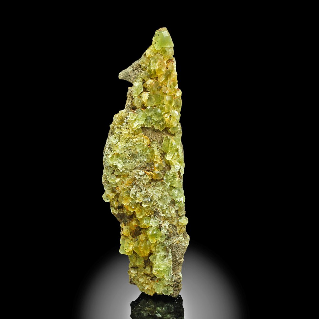 Museum-Grade Fluorite Crystals on matrix - Height: 22 cm - Width: 5.6 cm- 736 kg #3.2