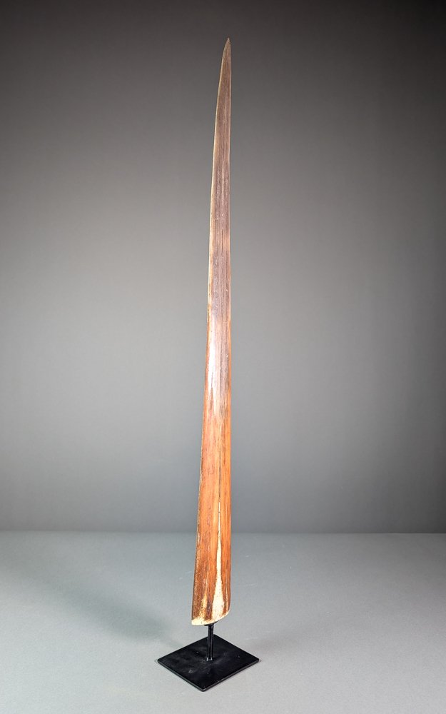 巨型剑鱼吻部 支架上的吻突 - Xiphias gladius - 86.5 cm - 7.4 cm - 2.7 cm #2.1