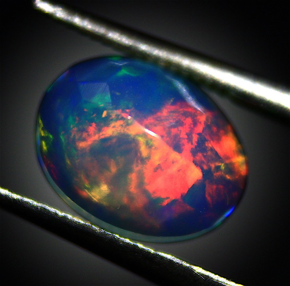 Utan reservationspris - 6 pcs  Vit Opal  - 6.09 ct - Masterstenar #4.3