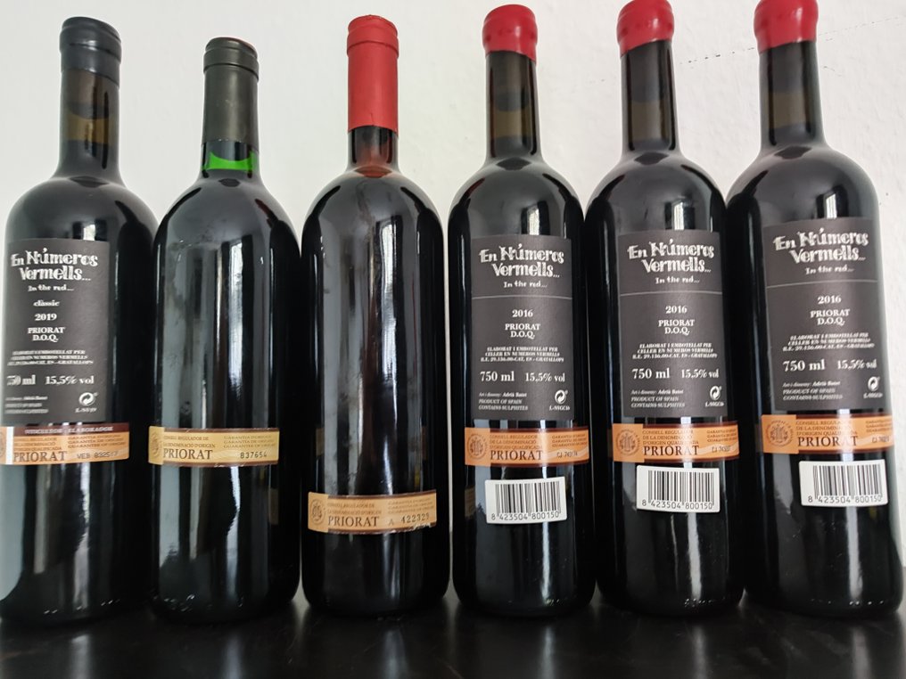 1995 Alvaro Palacios, Les Terrasses, 1996 Cims de Porrera, 2016 (x3), 2019 In the Red - Priorat - 6 Bottles (0.75L) #1.0