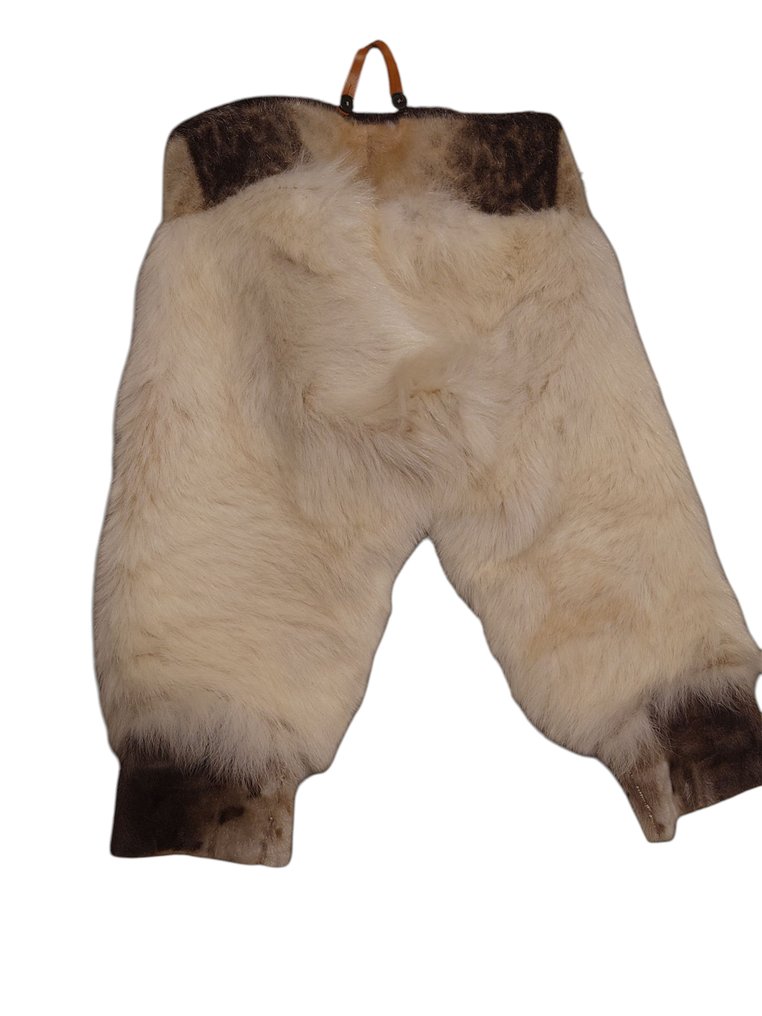 IJsbeer Taxidermie volledige montage - Ursus maritimus, seal - with import certificate - 0 cm - 0 cm - 0 cm - CITES Appendix II - Bijlage B in de EU #3.2