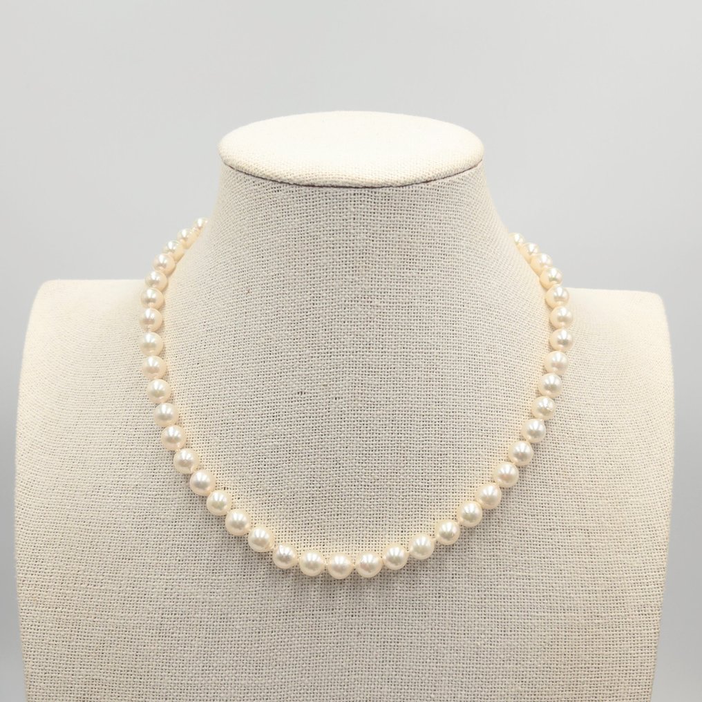 Senza Prezzo di Riserva - Collana Argento Perla - Akoya 7,5 mm 17 pollici #3.2