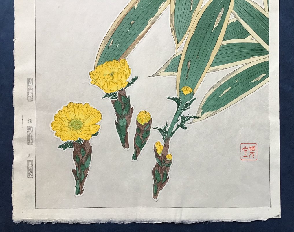 Adonis 福寿草orフクジュソウ Fukujuso - Kawarazaki Shodo 河原崎奨堂 (1889-1973) - Published by Unsodo - Ιαπωνία #2.1