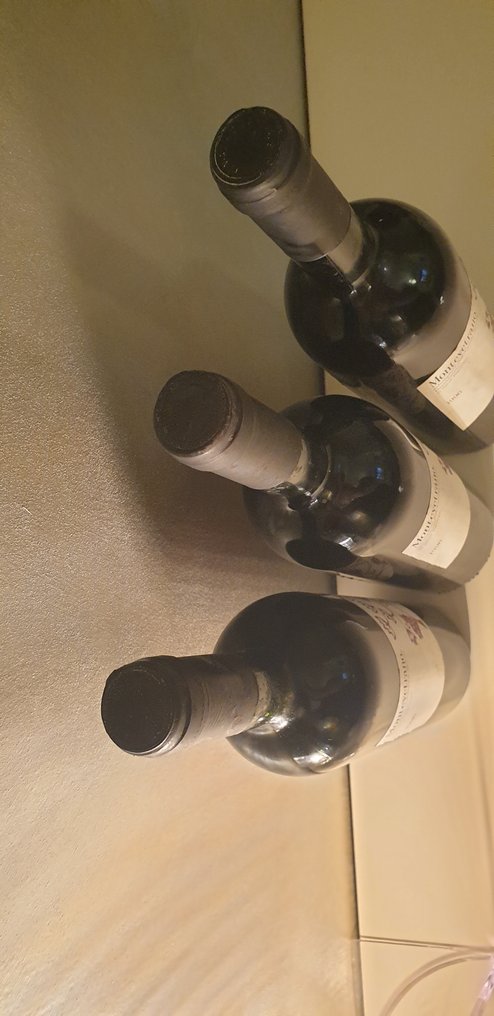 1996 Silvia Imparato, Montevetrano - 坎帕尼亚 - 3 Bottles (0.75L) #1.0