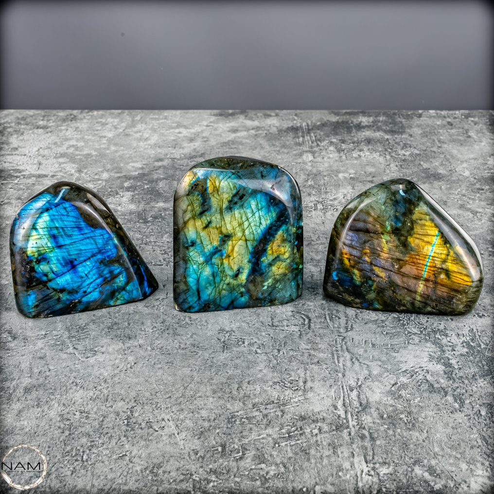 Labradorit – Ensemble en forme libre brillant avec des reflets intenses de bleu, vert et or Labradorite naturel- 1087.37 g - (3) #4.3