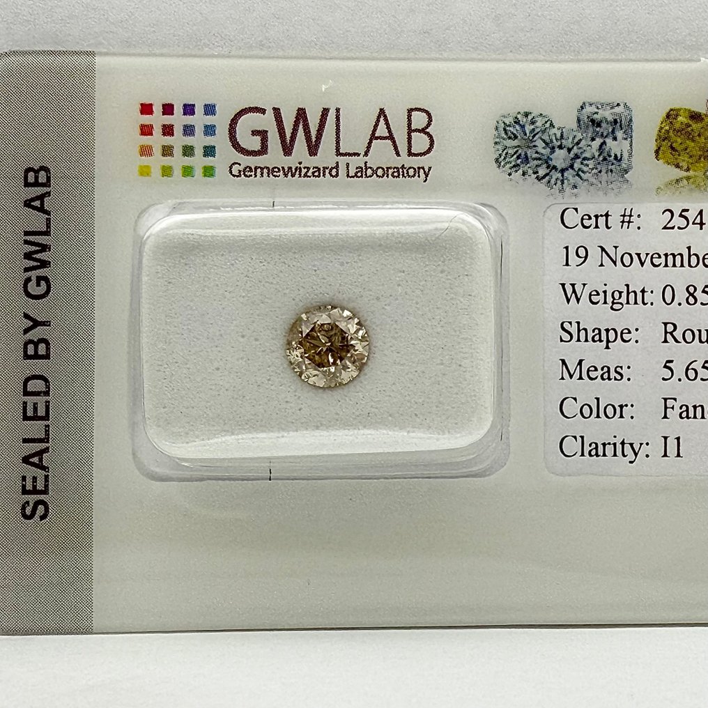 没有保留价 - 1 pcs 钻石 (天然色彩的) - 0.85 ct - 圆形 - Fancy 灰色 - I1 内含一级 - Gemewizard宝石实验室(GWLab) #3.2