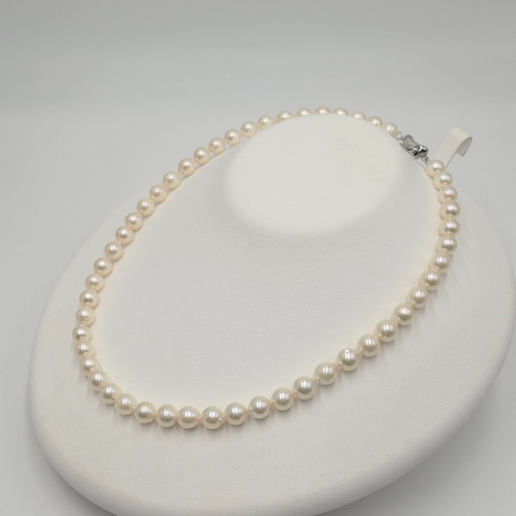 Senza Prezzo di Riserva - Collana Argento Perla - Akoya 7,5 mm 17 pollici #1.0