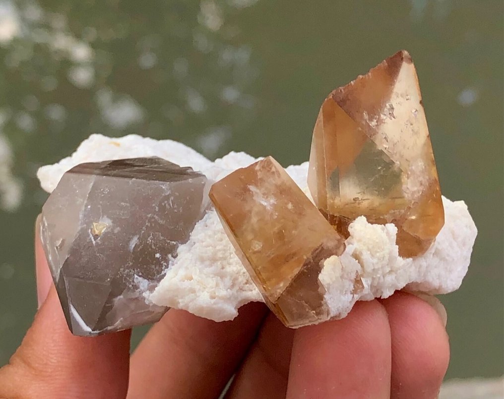 Δείγμα κορυφαίου ζαφείρι με καπνιστό χαλαζία, επιλογή συλλέκτη. Κρίσταλ στη μήτρα - Ύψος: 70 mm - Πλάτος: 60 mm- 109 g - (1) #1.0