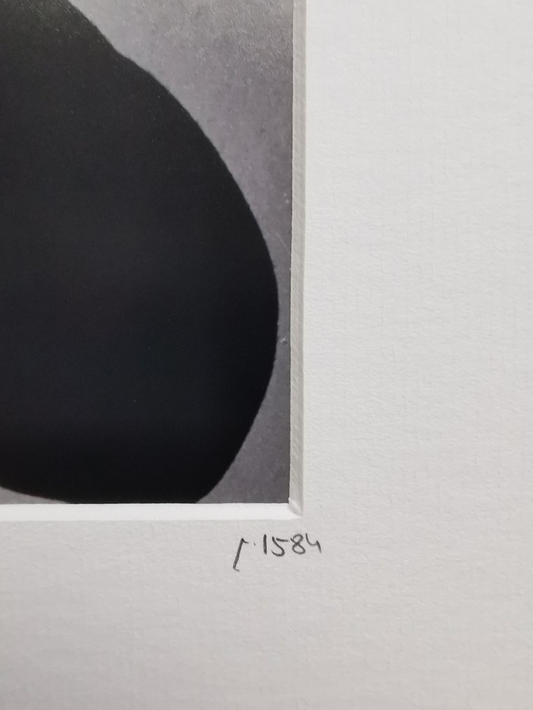 Oliviero Toscani (1946–2025) - Andy Warhol #1.0