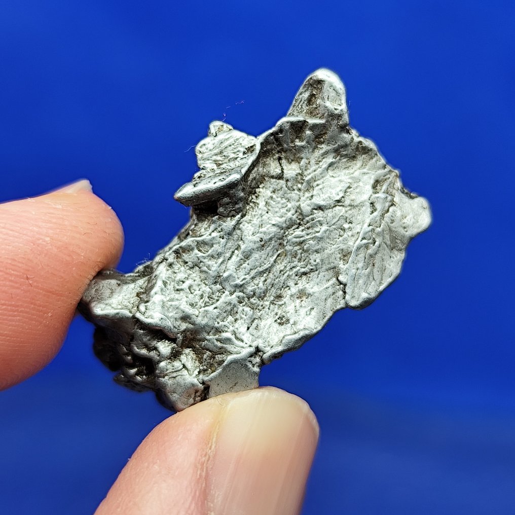 -Endcut- Iron Meteorite, Aletai (China, 1898) Widmanstätten pattern. Best quality. - 17.4 g #1.0