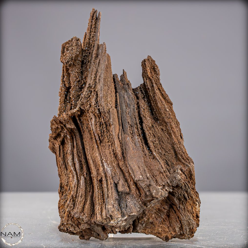 Φυσικό Feenholz κρυσταλλωμένο πετρωμένο ξύλο από την Αυστραλία. Ένα πανάρχαιο θαύμα της φύσης γεμάτο μαγεία και ιστορία.- 809.33 g #3.2