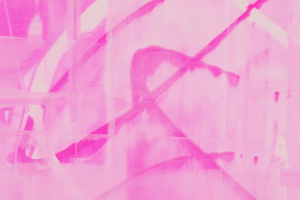 H. Friedel - Pink Panther #4.3