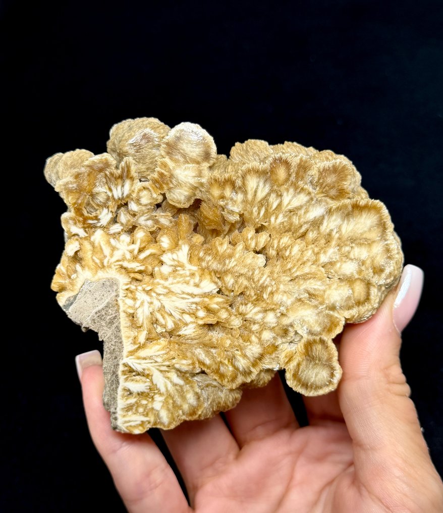 Fantastic BARYTE from Lubin Mine, Legnica, Poland Crystal cluster - Height: 9.8 cm - Width: 8.6 cm- 225 g #2.1