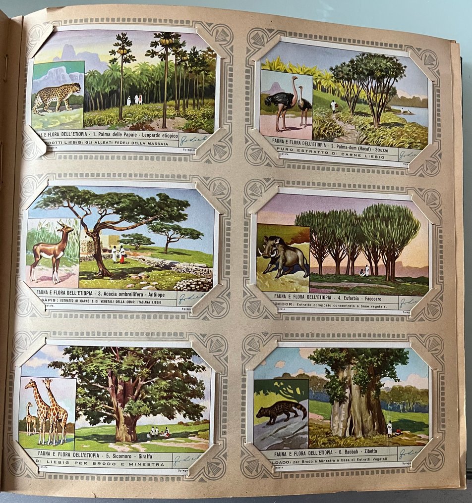 Liebig 完整專輯 - Liebig #3.2