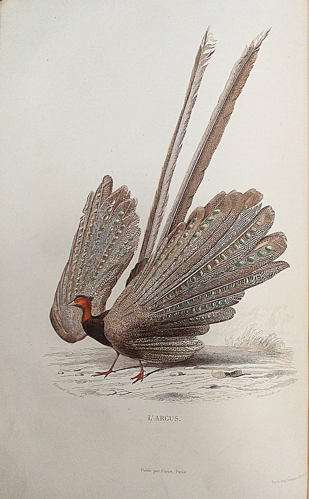 Georges-Louis Leclerc de Buffon - Oeuvres complètes de Buffon - 1848-1853 #1.0