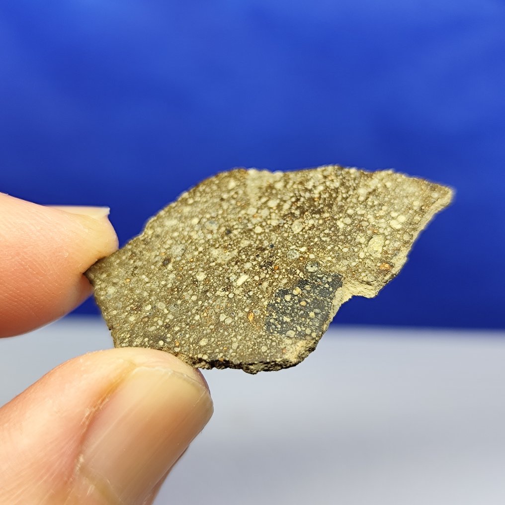 (4 εκ!) - Μόνο 3,9 κιλά στον κόσμο - Μετεωρίτης RUMURUTI R3 Chondrite. GRIZIM 001 (Αλγερία, 2021). - 2.9 g #1.0