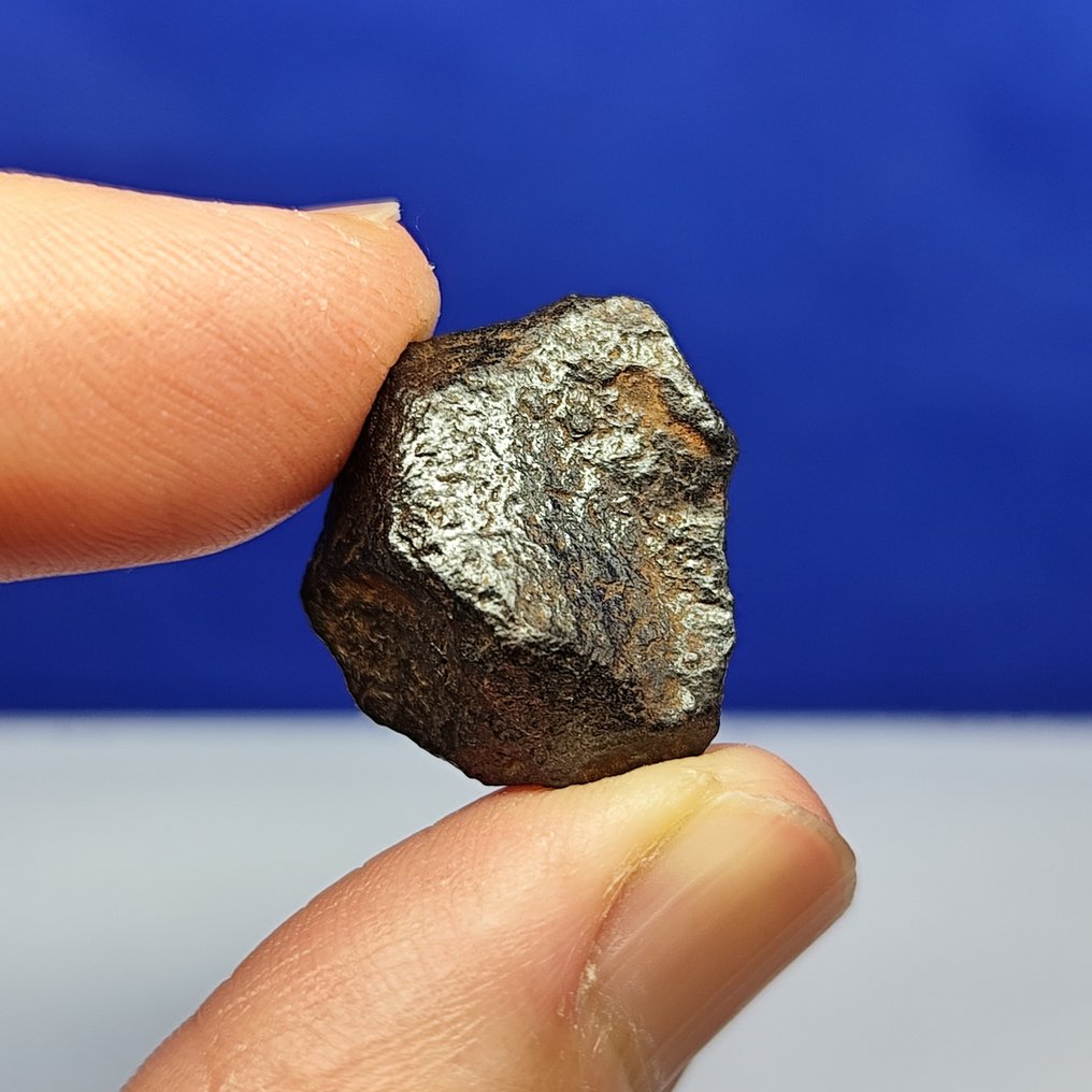 铁陨石 GIBEON（纳米比亚，1836 年） Complete Stone。稀有出售。 - 17.6 g #1.0