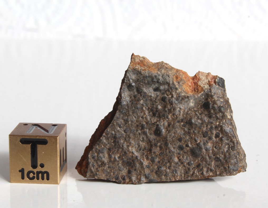 Endcut of Rumuruti chondrite (R4) NWA 17658 - 7.2 g - (1) #1.0