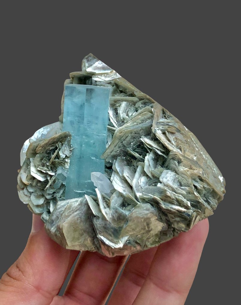 Attractive Aquamarine With Quartz Terminated Crystals On Muscovite Mica Combine Specimen - Height: 69 mm - Width: 65 mm- 213 g - (1) #1.0