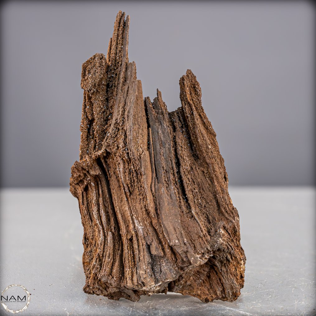 Φυσικό Feenholz κρυσταλλωμένο πετρωμένο ξύλο από την Αυστραλία. Ένα πανάρχαιο θαύμα της φύσης γεμάτο μαγεία και ιστορία.- 809.33 g #1.0