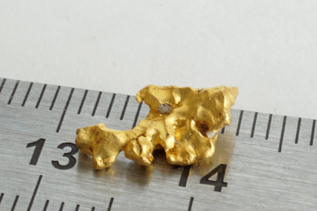 金色 土著，来自苏里南或法属圭亚那的金块（金块）- 0.94 g - (1) #4.3