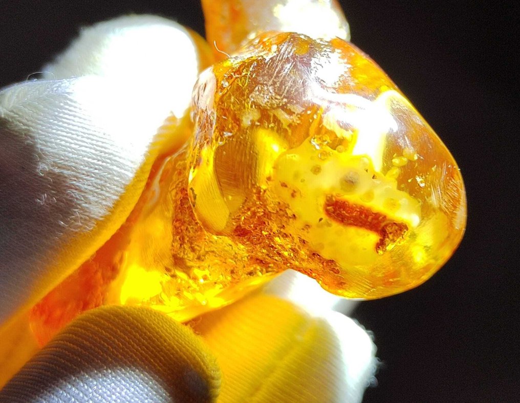 多米尼加琥珀！AAA级品质，355克拉- 71 g #4.3