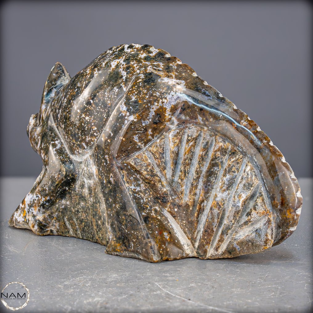 Atemberaubender Ocean-Achat Leguan – Naturkunst in perfekter Harmonie- 1874.74 g #3.2