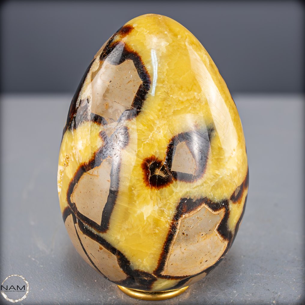 Μαγευτικό αυγό Septarien. Η μαγεία των αρχαϊκών μορφών και χρωμάτων.- 1892.44 g #4.3