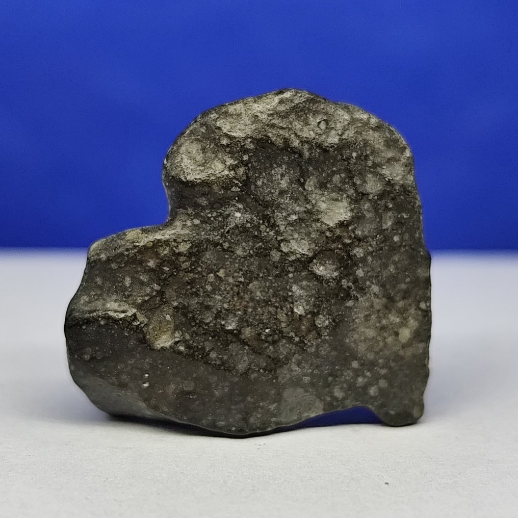 -Only 1959 g in the world- RUMURUTI Chondrite R3-6. NWA 13683 (Sahara, 2018) Without reserve price! - 10 g #1.0