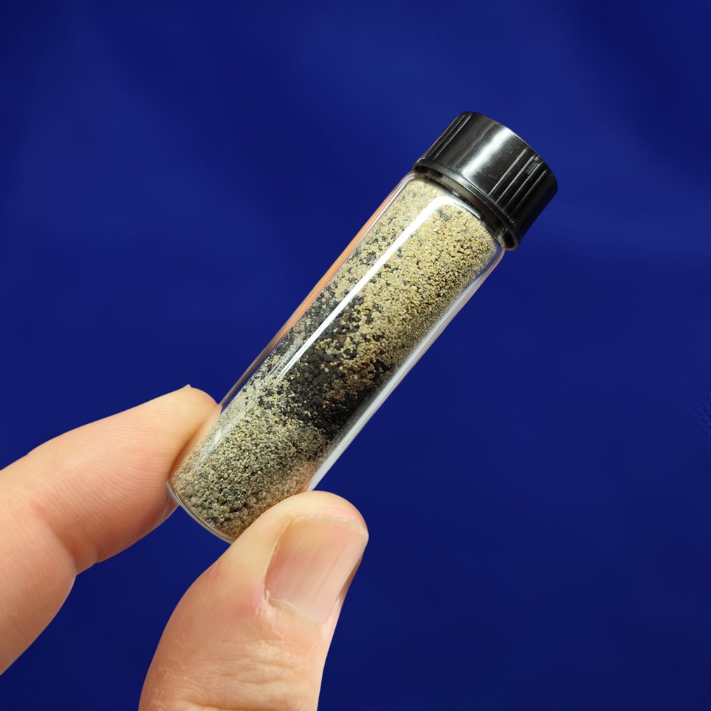 K-T 边界（K-Pg）。 恐龙的灭绝（6500万年前）。 - 20 g #2.1