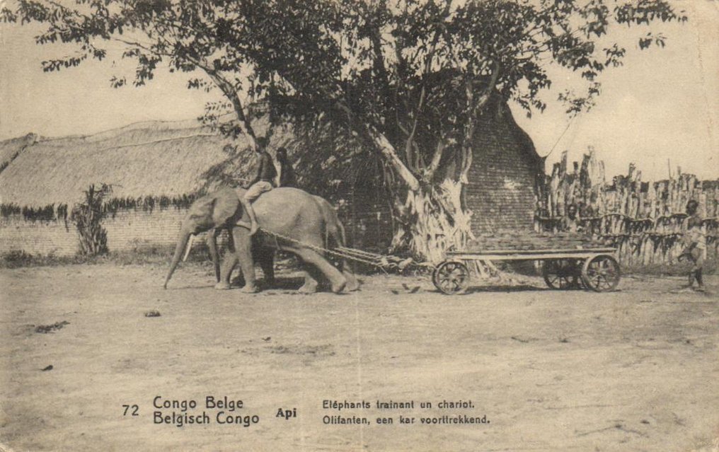 Βελγικό Κονγκό - Διαφορετικά μέρη και αξιοθέατα - Περιλαμβάνοντας επαρχία, Αποστολή, Εκκίνηση Nels, Ενδεικτική - Καρτ-ποστάλ (85) - 1900-1940 #1.0