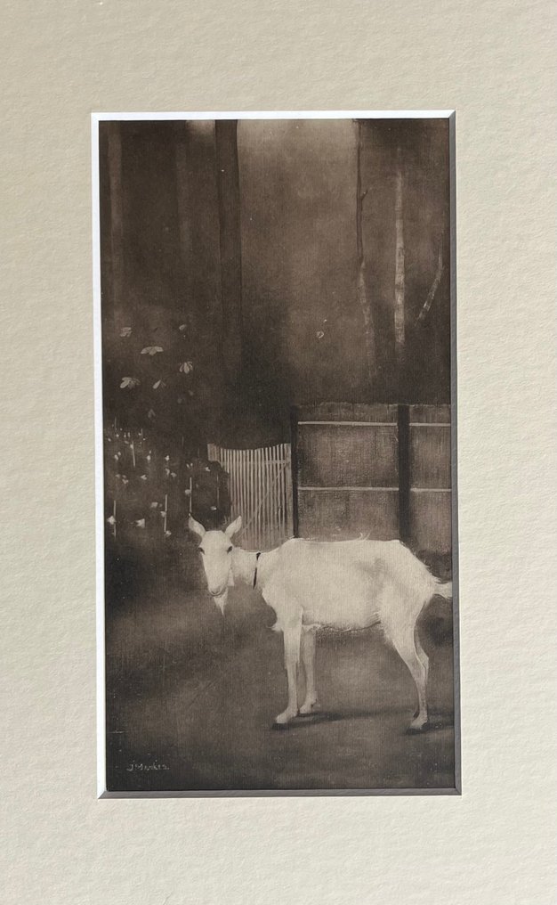 Jan Mankes (1889-1920) - Oude geit #3.2