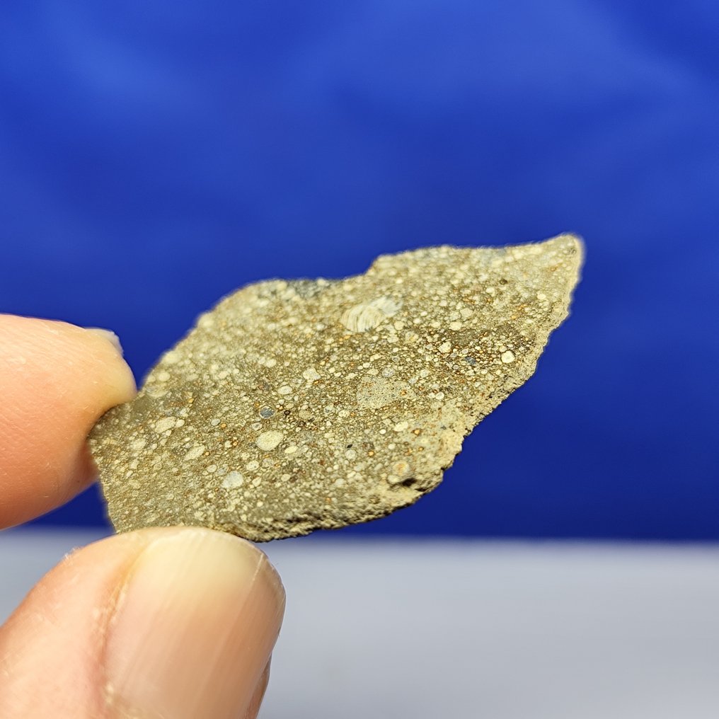 (4 εκ!) - Μόνο 3,9 κιλά στον κόσμο - Μετεωρίτης RUMURUTI R3 Chondrite. GRIZIM 001 (Αλγερία, 2021). - 2.9 g #4.3