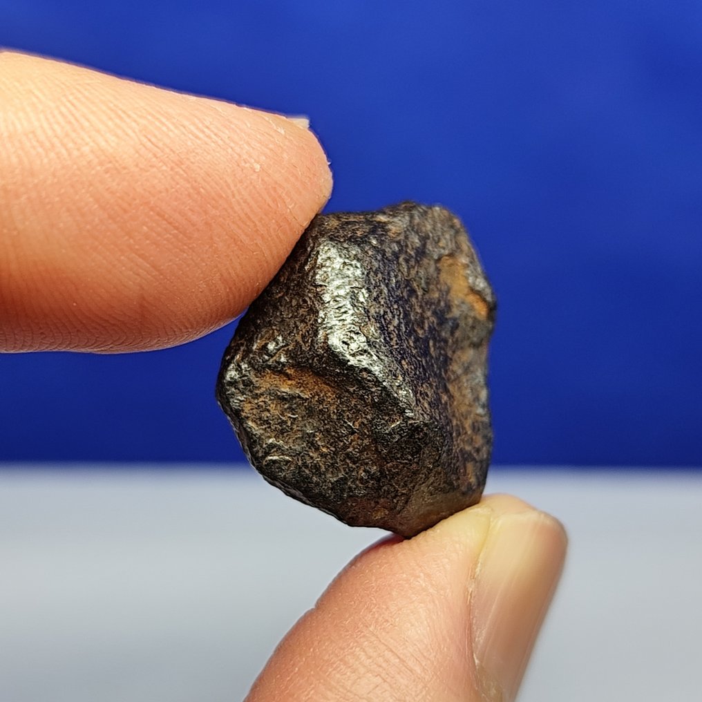 铁陨石 GIBEON（纳米比亚，1836 年） Complete Stone。稀有出售。 - 17.6 g #1.0