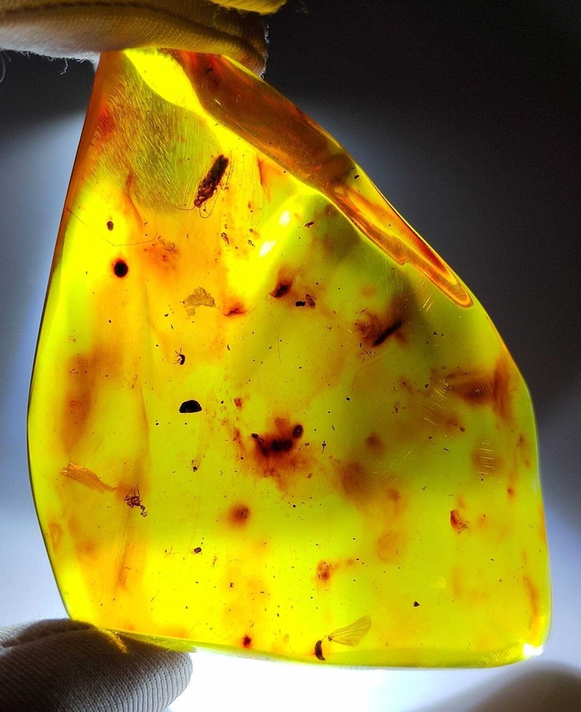 FOSSlL-AMAZING!! Dominikansk bärnsten - 210 ct -- 42 g #1.0