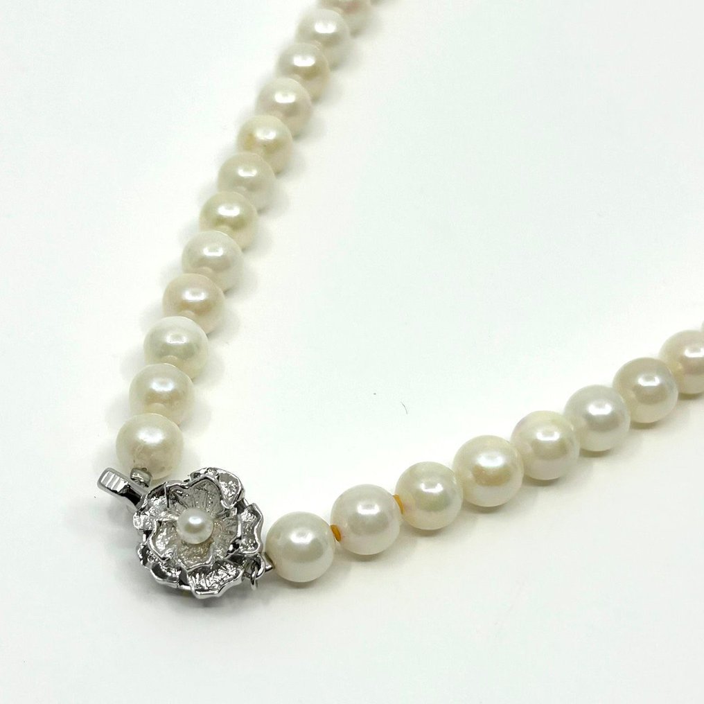 Ohne mindestpreis - Halskette Silber Perle - Einzelstrang weiße Akoya #3.2